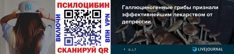 Псилоцибиновые грибы MAGIC MUSHROOMS  Купить закладки  Морозовск 